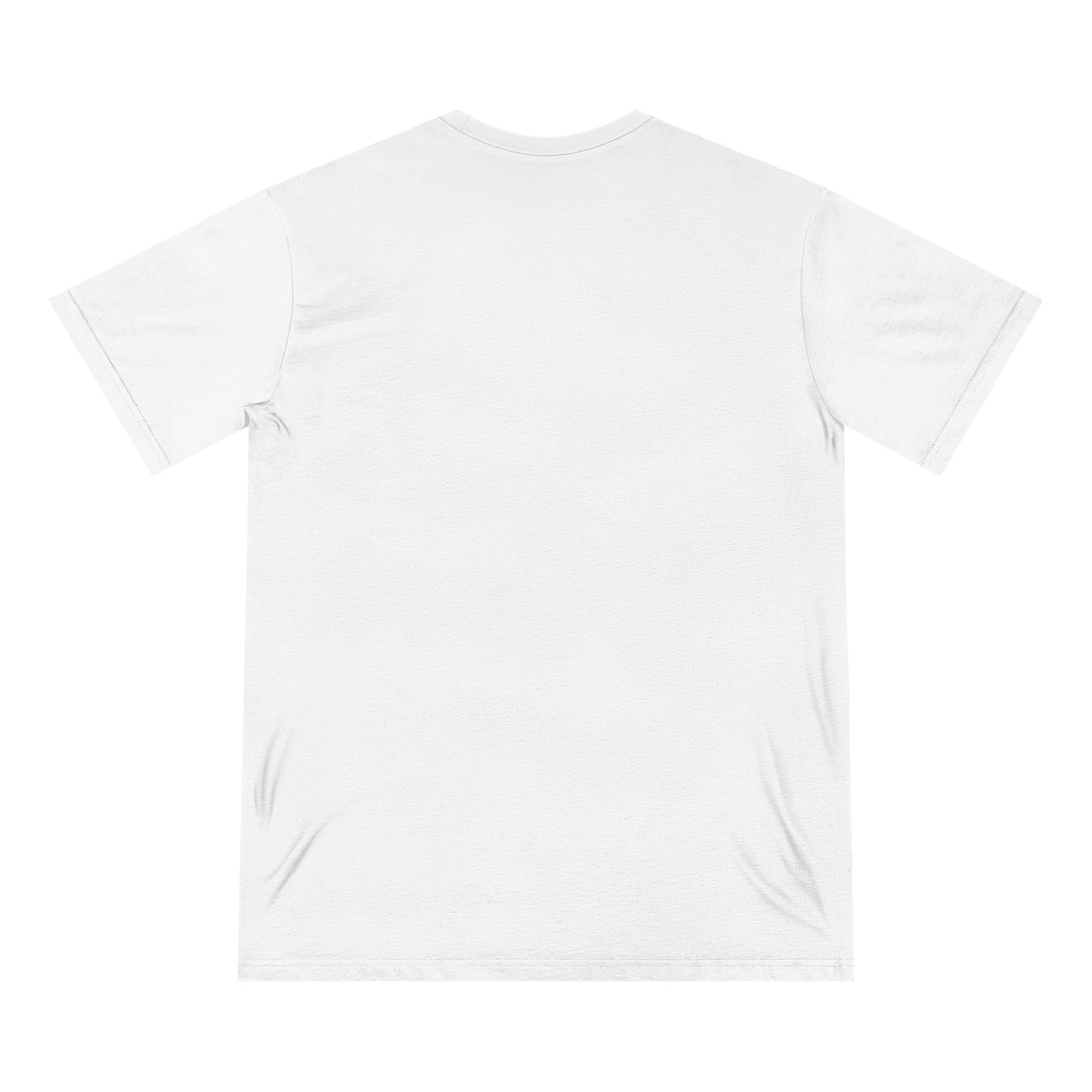Organic Tarpon 1973 HorizonT-shirt